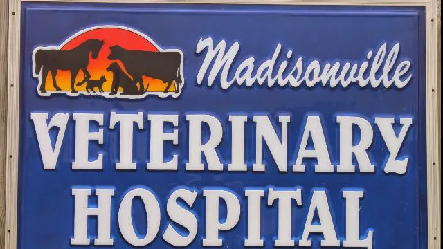 Madisonville Veterinary Hospital Picture 6