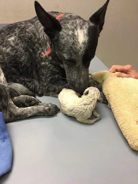 Madisonville Veterinary Hospital Picture 8