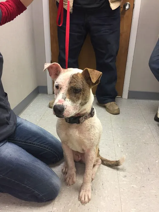 Madisonville Veterinary Hospital Picture 5