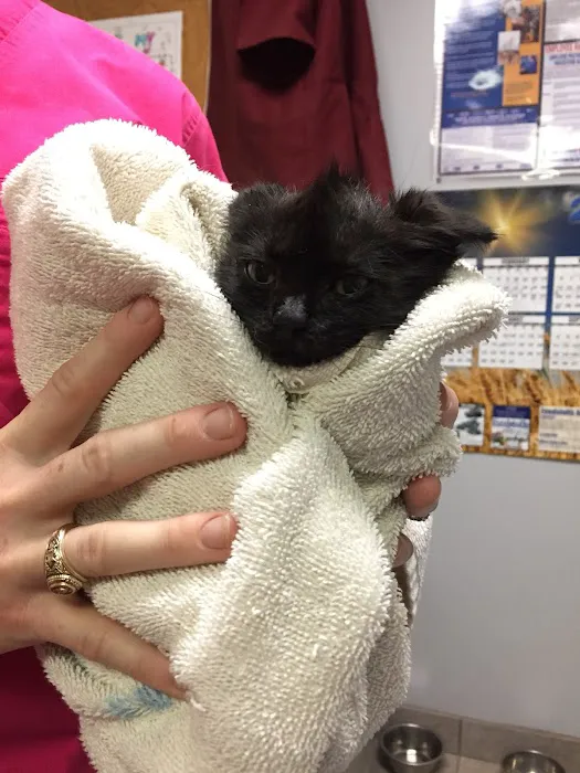 Madisonville Veterinary Hospital Picture 9