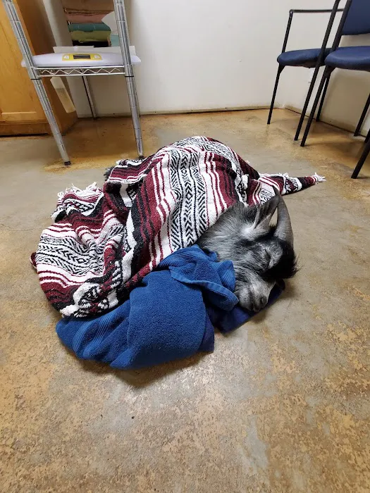 Animal Medical Services Picture 4