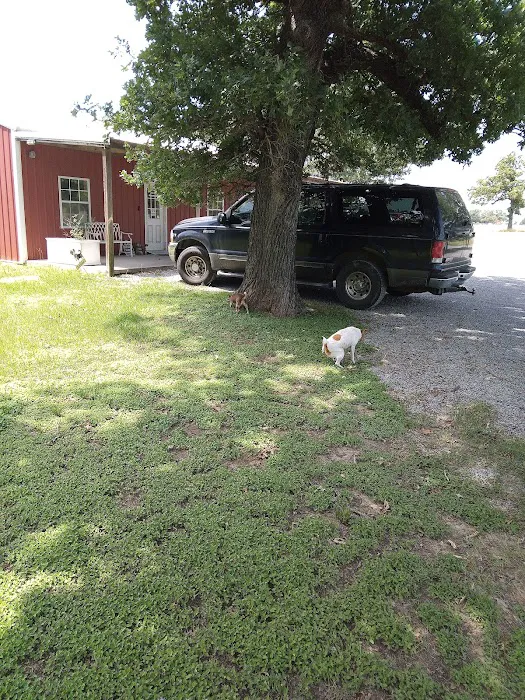 Animal Medical Services Picture 10