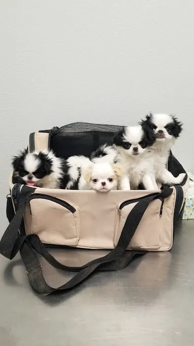 Kurten Veterinary Services Picture 1