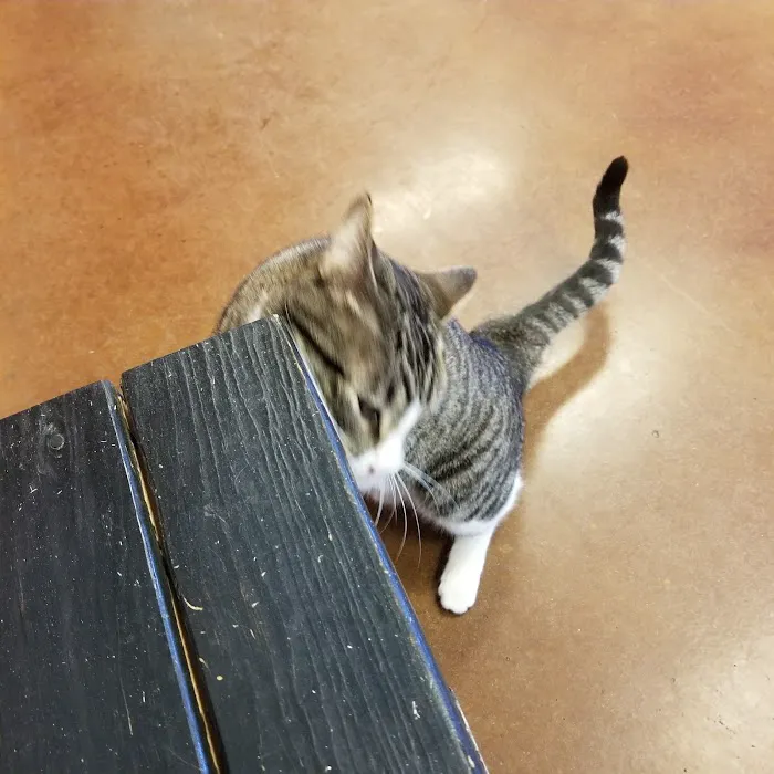 Kurten Veterinary Services Picture 3