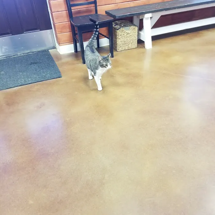 Kurten Veterinary Services Picture 5