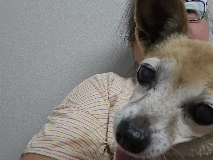 Walker County Veterinary Center Picture 3