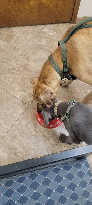 Walker County Veterinary Center Picture 6
