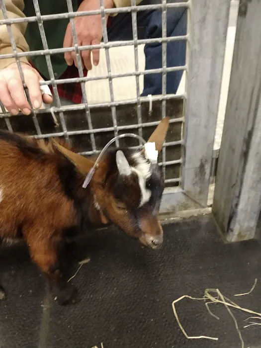 Veterinary Large Animal Hospital (VLAH) Picture 9