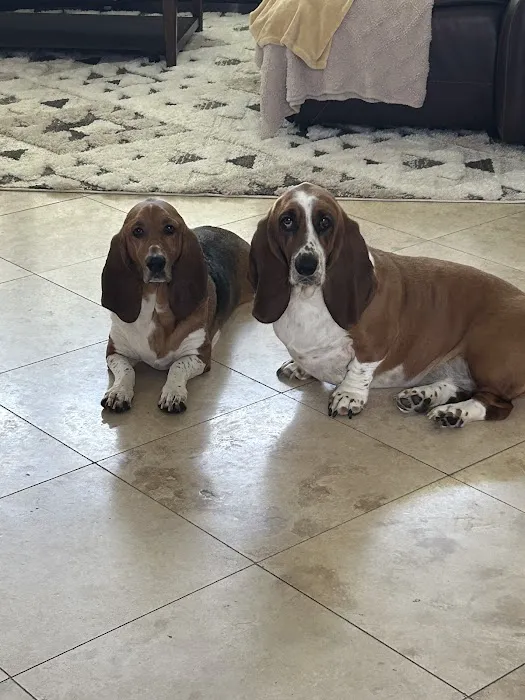 East Bernard Animal Hospital Picture 1