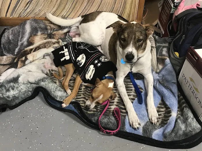 East Bernard Animal Hospital Picture 4