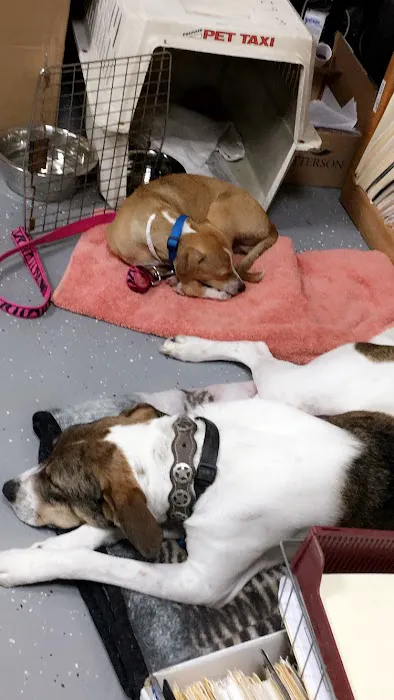 East Bernard Animal Hospital Picture 3
