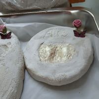 Ark All Animal Cremation ico