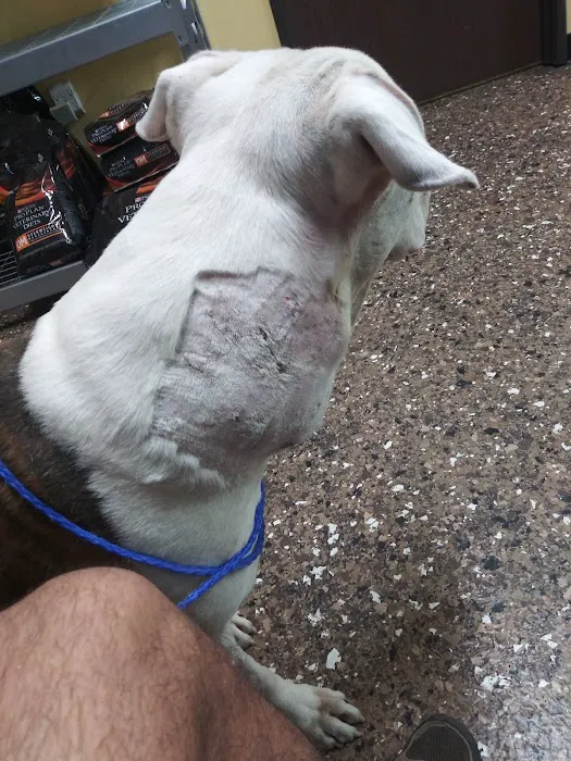 All Care Pet Clinic Picture 10