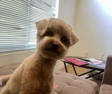 Agoura Animal Clinic