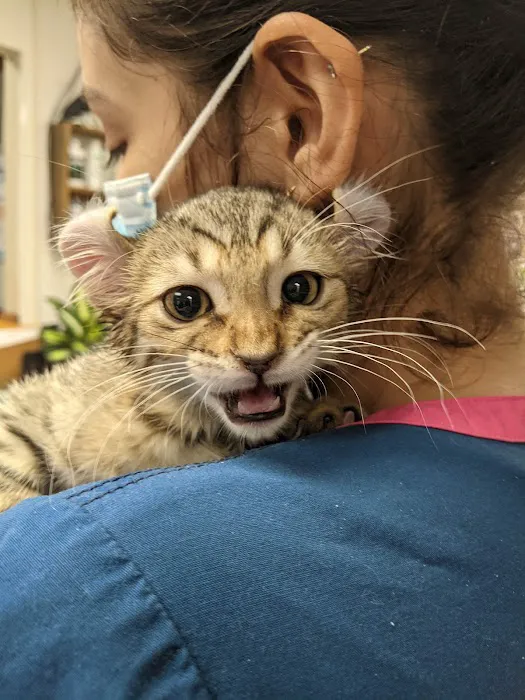 Agoura Animal Clinic Picture 9