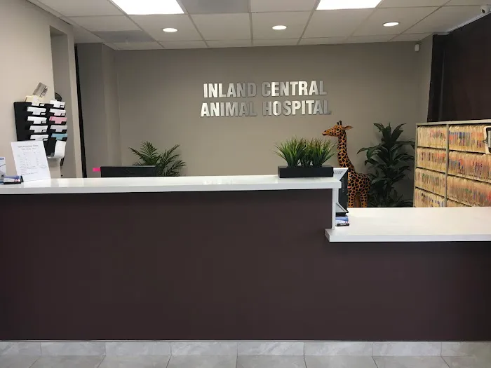 Inland Central Animal Hospital Picture 5