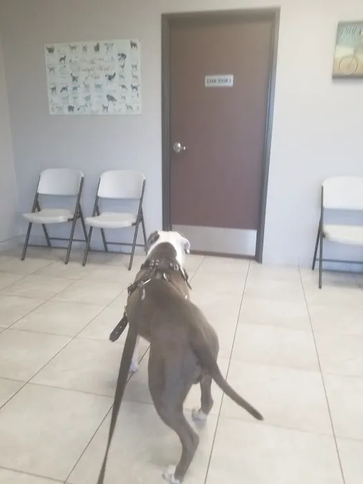 Inland Central Animal Hospital Picture 3