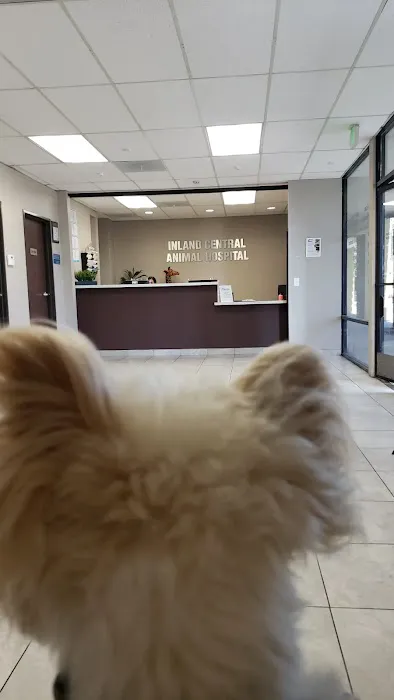 Inland Central Animal Hospital Picture 2
