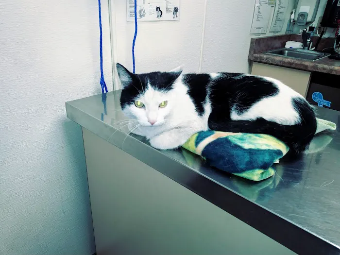 Inland Central Animal Hospital Picture 10