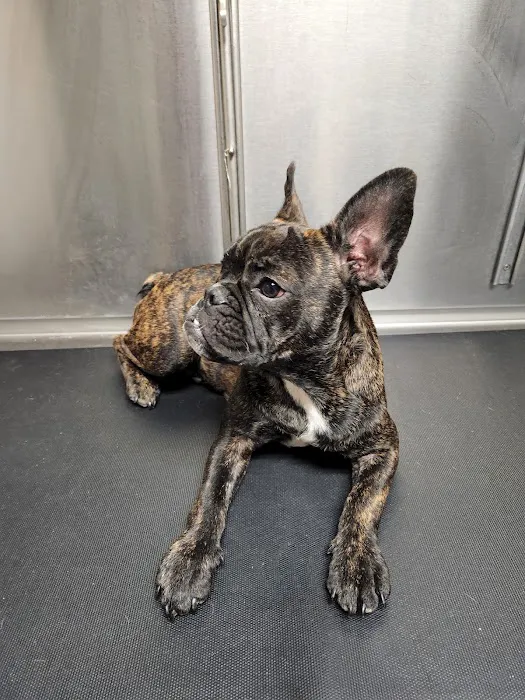 Inland Central Animal Hospital Picture 8