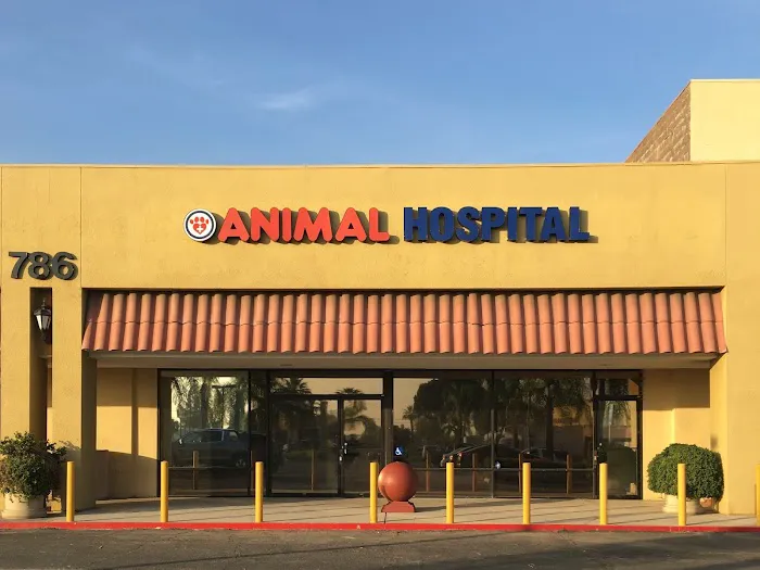 Inland Central Animal Hospital Picture 9