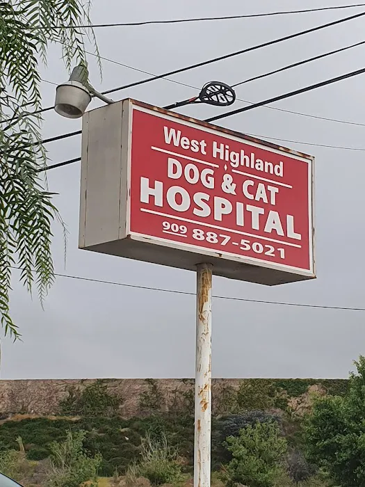West Highland Dog & Cat Hospital Picture 5