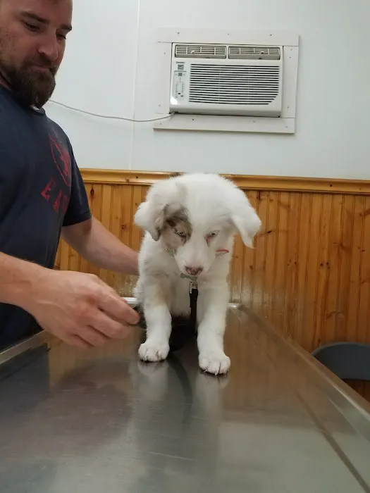 West Highland Dog & Cat Hospital Picture 6