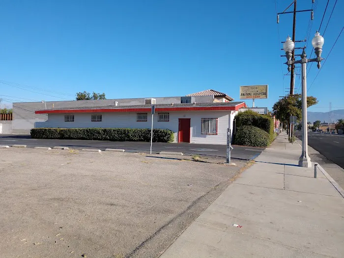 Colton Animal Hospital Picture 3