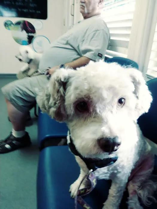 VCA Northside Animal Hospital Picture 2