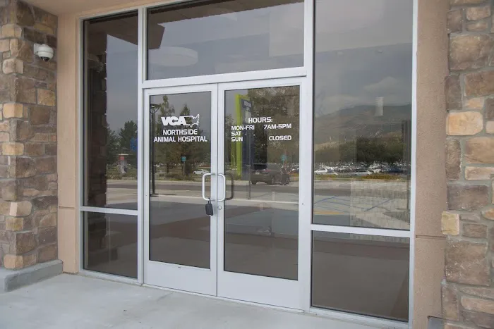 VCA Northside Animal Hospital Picture 10