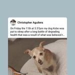 Northside Veterinary Clinic: De Wett Patty DVM