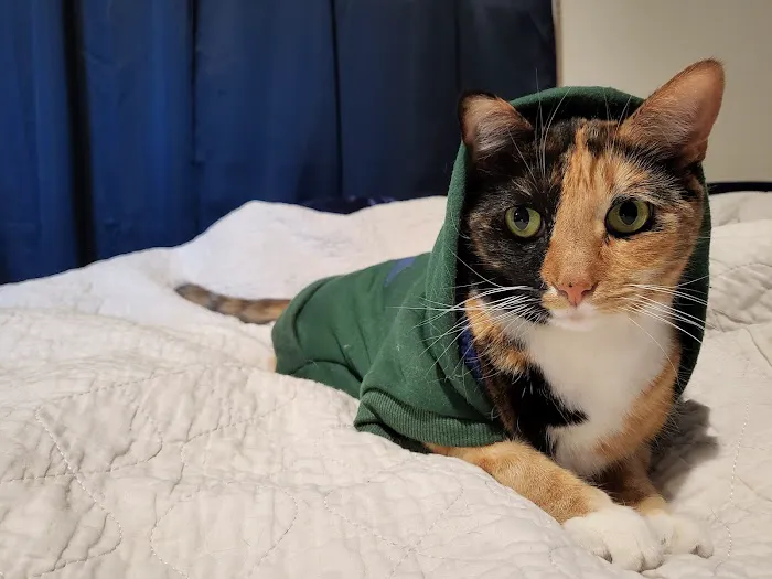 Advanced Pet Care Picture 10