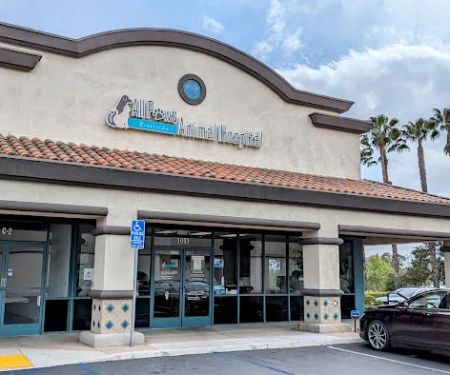 All Paws Riverside Animal Hospital