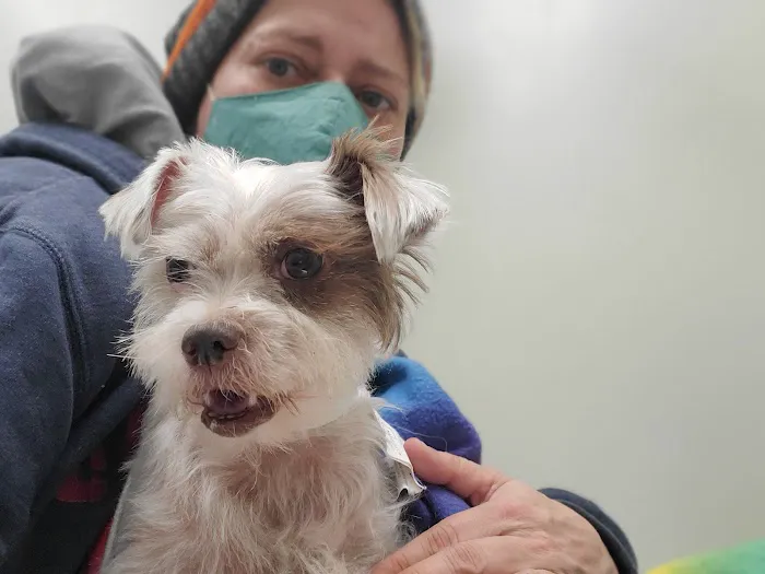 Animal Emergency Clinic Picture 6