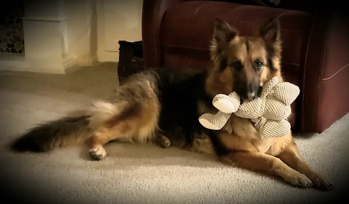 Moreno Valley Animal Hospital Picture 3