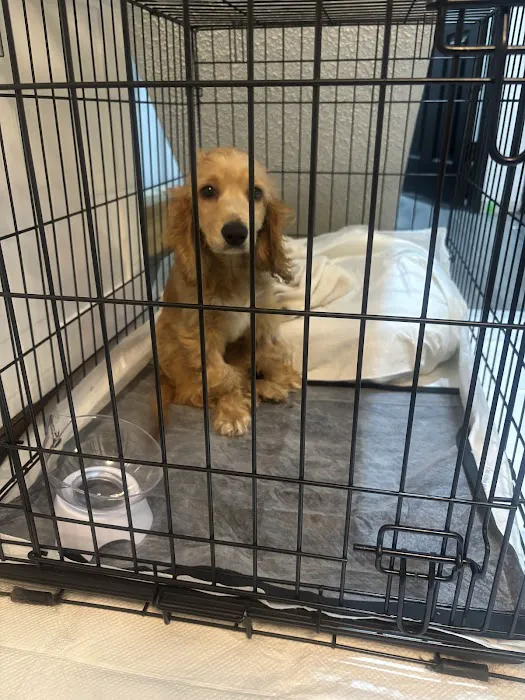 Moreno Valley Animal Hospital Picture 6