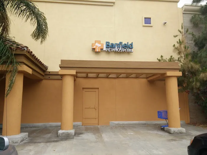 Banfield Pet Hospital Picture 1