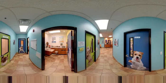 Banfield Pet Hospital Picture 3