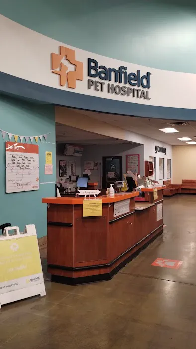Banfield Pet Hospital Picture 5