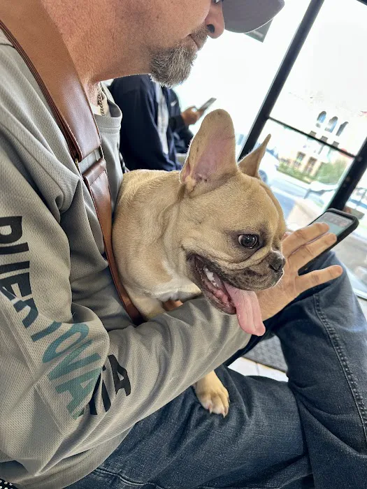 Loma Linda Animal Hospital Picture 7