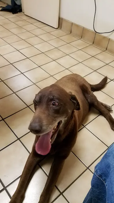 Loma Linda Animal Hospital Picture 8