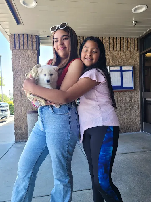 Moreno Valley Community Vet Care Picture 3