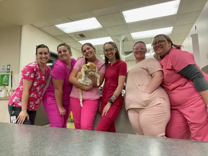 Moreno Valley Community Vet Care Picture 5