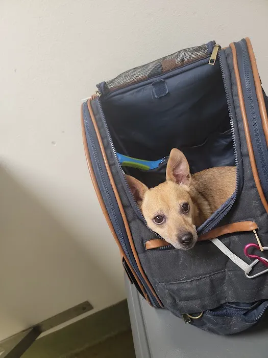 Moreno Valley Animal Clinic Picture 1