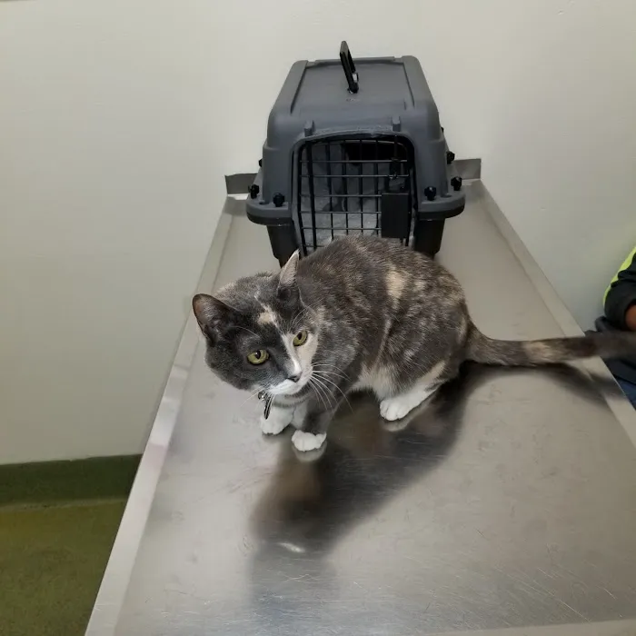 Moreno Valley Animal Clinic Picture 7