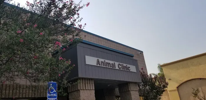 Moreno Valley Animal Clinic Picture 3