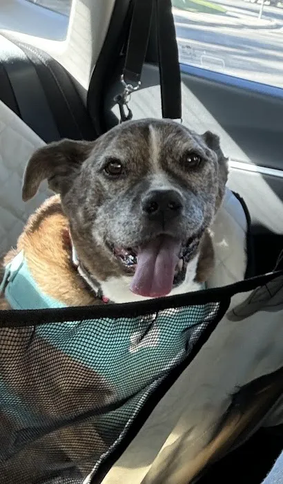 Moreno Valley Animal Clinic Picture 9