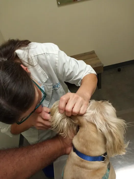 Vetco Total Care Animal Hospital Picture 1