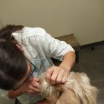 Vetco Total Care Animal Hospital