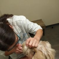 Vetco Total Care Animal Hospital ico